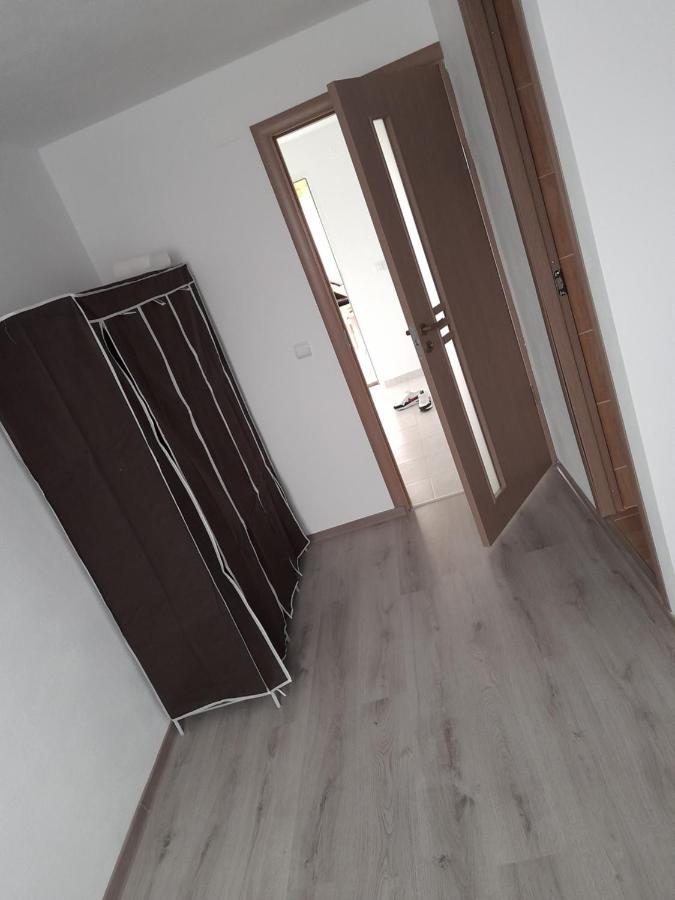 Casa Alex Otel Cîrţişoara Dış mekan fotoğraf