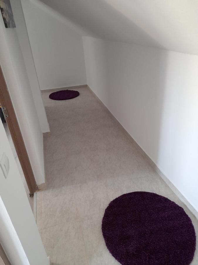 Casa Alex Otel Cîrţişoara Dış mekan fotoğraf
