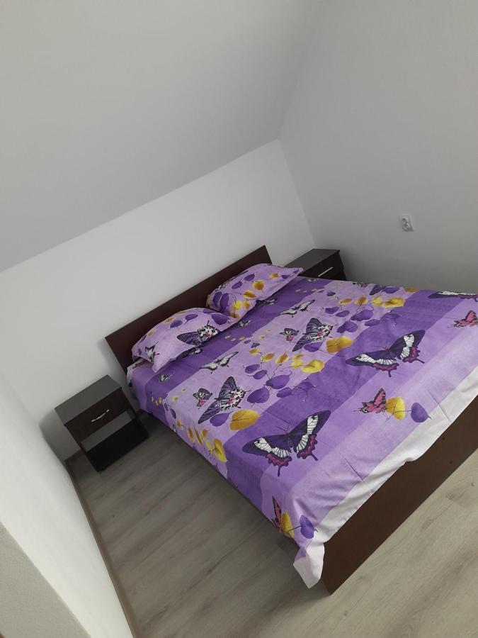 Casa Alex Otel Cîrţişoara Dış mekan fotoğraf