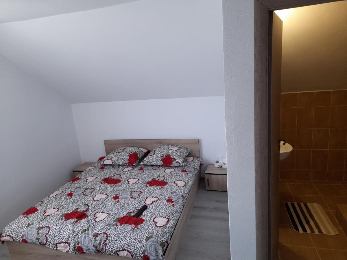 Casa Alex Otel Cîrţişoara Dış mekan fotoğraf