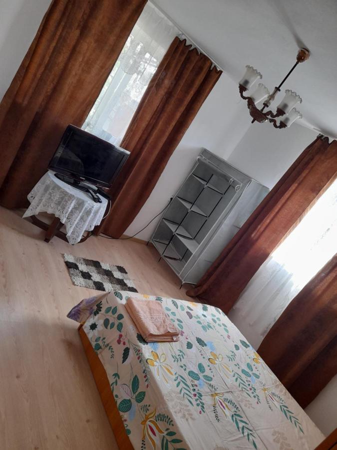 Casa Alex Otel Cîrţişoara Dış mekan fotoğraf