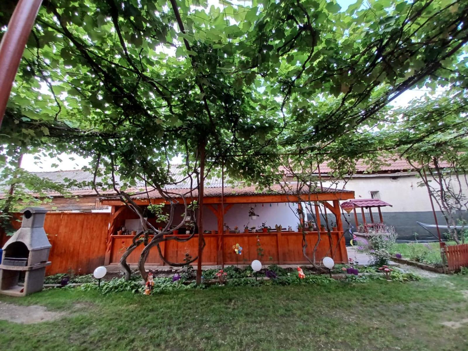 Casa Alex Otel Cîrţişoara Dış mekan fotoğraf